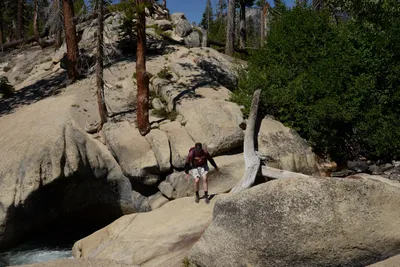 DSC_3811 (Large).JPG